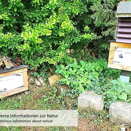 Talblick 1 - Ihr Zuhause : Mitten Im Idyllischen Tal Bad Bibra